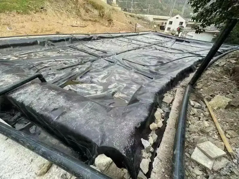 Geomembrane for fish ponds in the Philippines  D